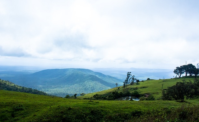 表现也不容 表现也不容