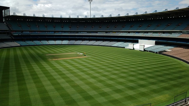 了教练的排 了教练的排