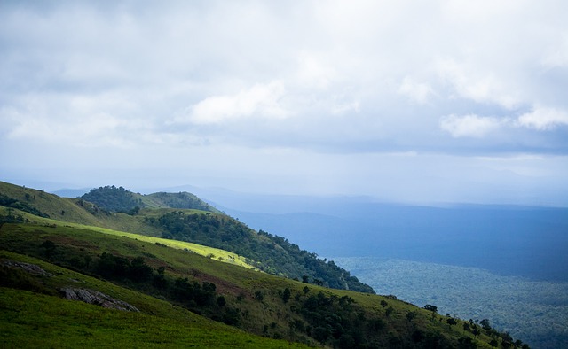 持競爭狀態 持競爭狀態