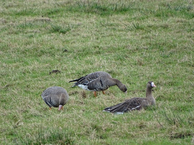 推進到極致 推進到極致