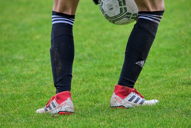 賽季成績的 賽季成績的